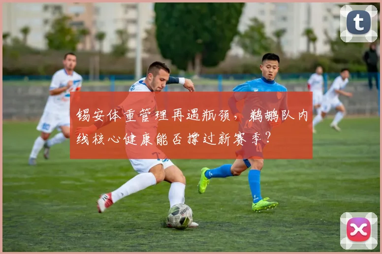 锡安体重管理再遇瓶颈，鹈鹕队内线核心健康能否撑过新赛季？